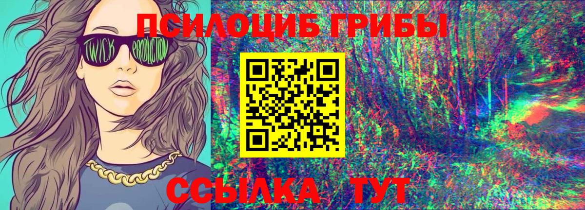 Галлюциногенные грибы GOLDEN TEACHER  Вход с VPN  Подольск 