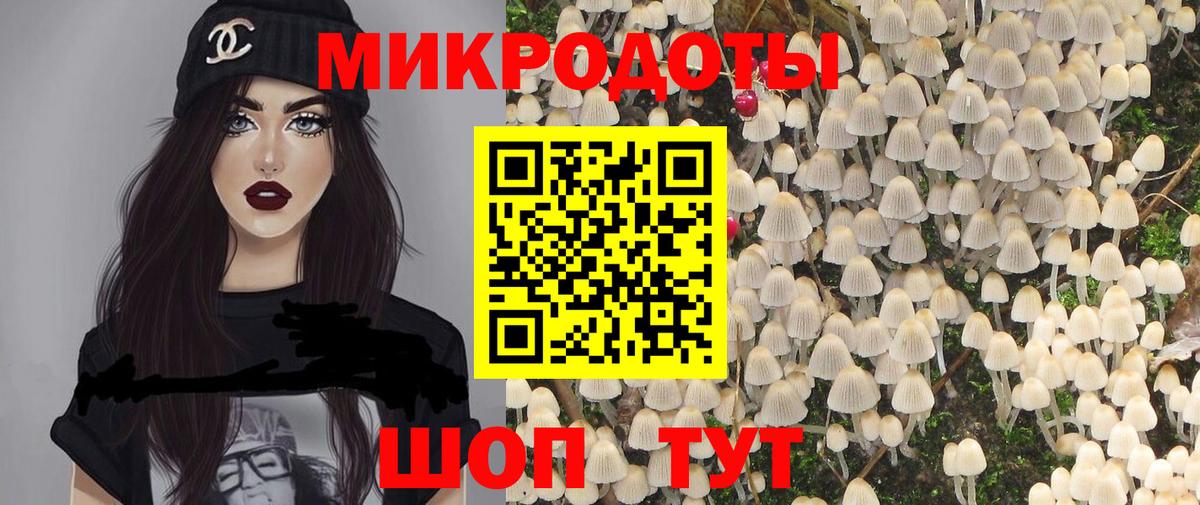 Псилоцибиновые грибы GOLDEN TEACHER Подольск